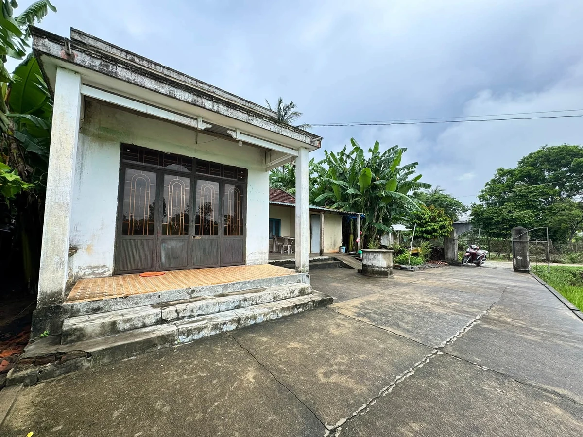 Bán đất vườn Tịnh Hoà 248m2, đường ô tô - Ảnh thu nhỏ 5