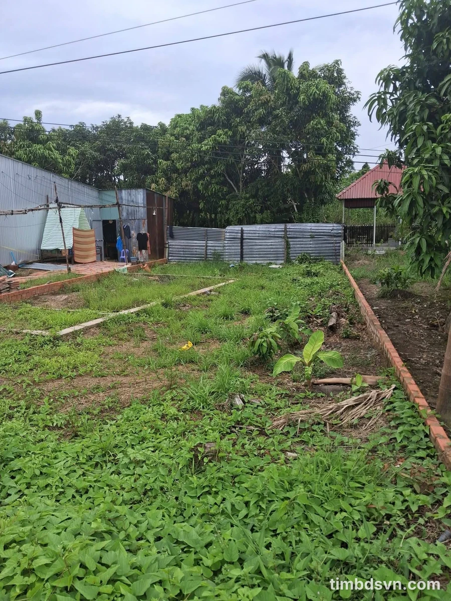Bán nền 72m² Trường Long Tây Bình Chánh 190 triệu - Ảnh thu nhỏ 2