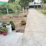 Bán nhà cấp 4 mặt tiền 202m² Trần Văn Thôi Cần Giuộc - Ảnh thu nhỏ 3
