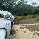 Bán 7ha đất nông nghiệp Phú Riềng Bình Phước 950 triệu/ha - Ảnh thu nhỏ 2