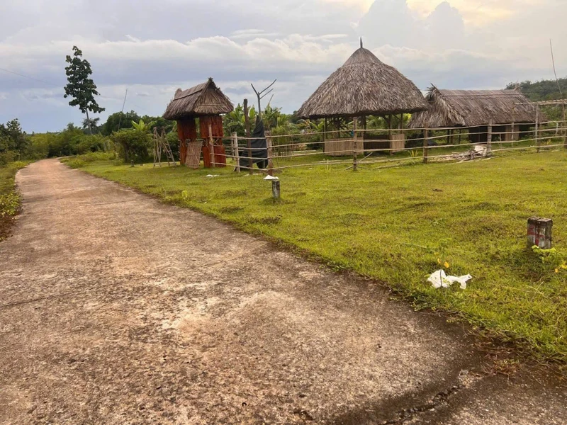 Bán đất nền 25000m² mặt tiền Lộc Hưng, Đồng Nai, giá rẻ