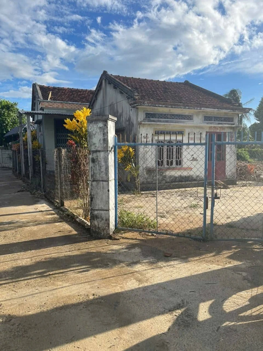Bán đất Sơn Thành Đông Bình Chánh 903m² giá 1 tỷ - Ảnh 1