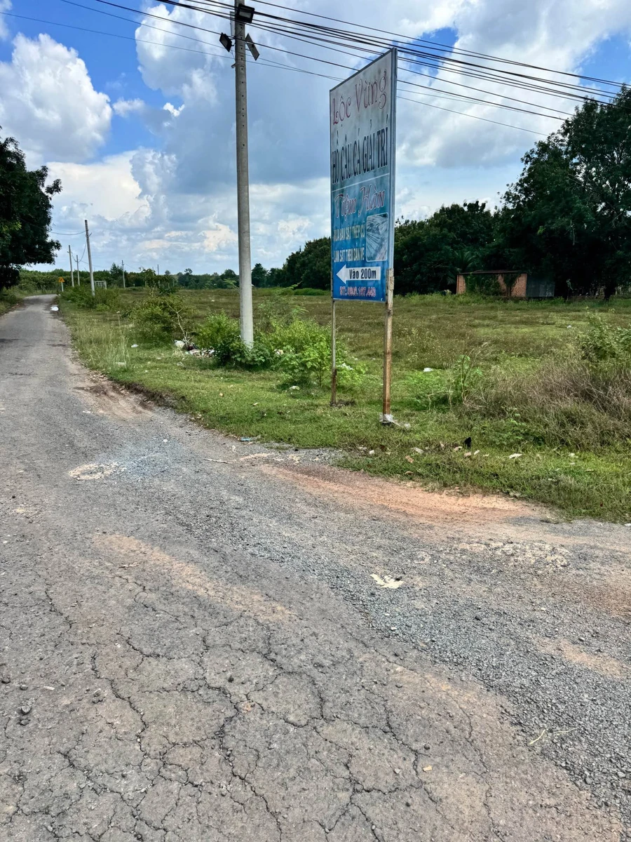 Bán đất vườn 2000 m² gần QL 13, Bàu Bàng, Bình Dương - Ảnh thu nhỏ 2