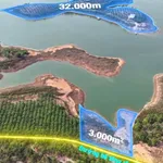 Bán đảo đất vườn 3,5ha giữa lòng hồ Thác Mơ, Nghĩa Trung, Bình Phước, giá 14 tỷ - Ảnh thu nhỏ 4