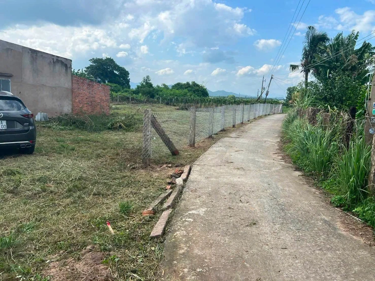 Bán gấp đất CLN 1.160m² mặt tiền Phan Thiết - Ảnh thu nhỏ 3