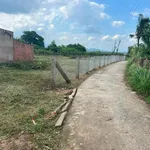 Bán gấp đất CLN 1.160m² mặt tiền Phan Thiết - Ảnh thu nhỏ 3