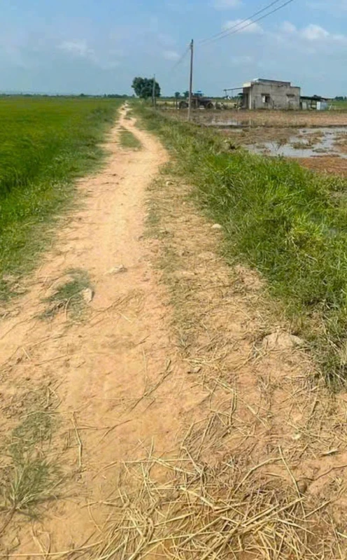 Bán đất thổ cư 100m² Hàm Đức giá 220 triệu