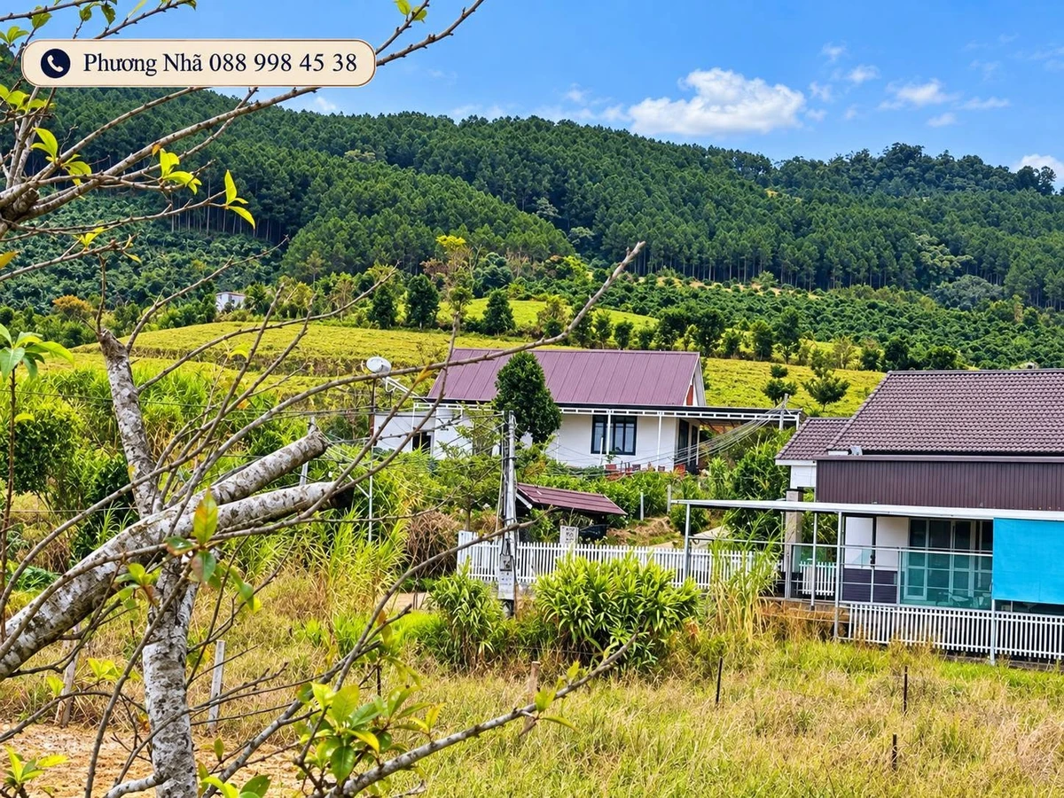 Bán 2 lô đất 125m² tại Lâm Hà, giá 479 triệu/lô - Ảnh 1