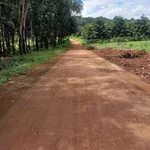 Bán đất cao su điều 2.14ha mặt tiền 80m Đức Liễu 4.6 tỷ - Ảnh thu nhỏ 1