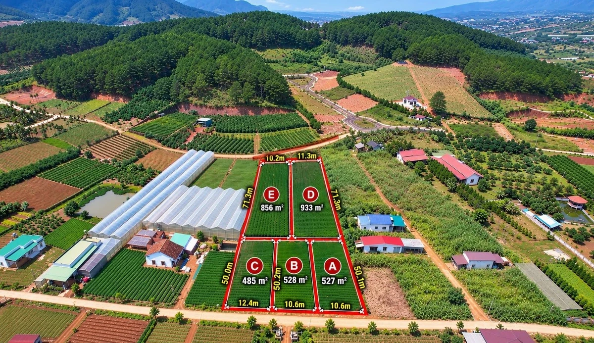 Bán 5 thửa đất vườn ở Nam Ban, Lâm Hà, 485–933 m² - Ảnh thu nhỏ 4