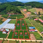 Bán 5 thửa đất vườn ở Nam Ban, Lâm Hà, 485–933 m² - Ảnh thu nhỏ 4