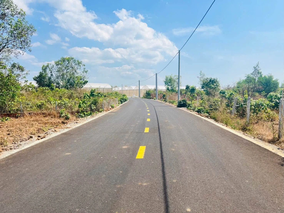Bán đất nền 500m2 mặt tiền nhựa Xã Đất Đỏ 699 triệu - Ảnh thu nhỏ 4