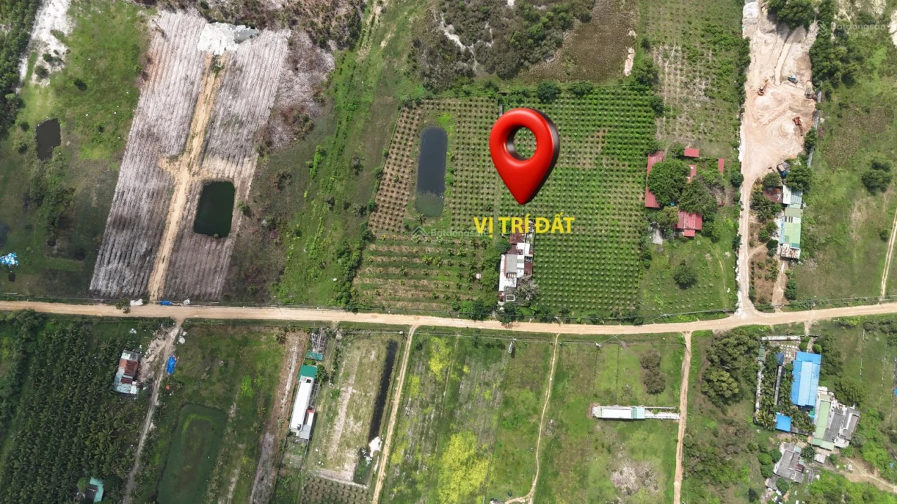 Diện tích lớn 1.4ha, có 500m2 thổ cư, đường ô tô, SHR, tại La Gi, thích hợp làm Homestay, phân lô - Ảnh 1