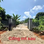 Bán đất 535m2 Tam Long, Nhà Bè, 3 tỷ 200 - Ảnh thu nhỏ 2