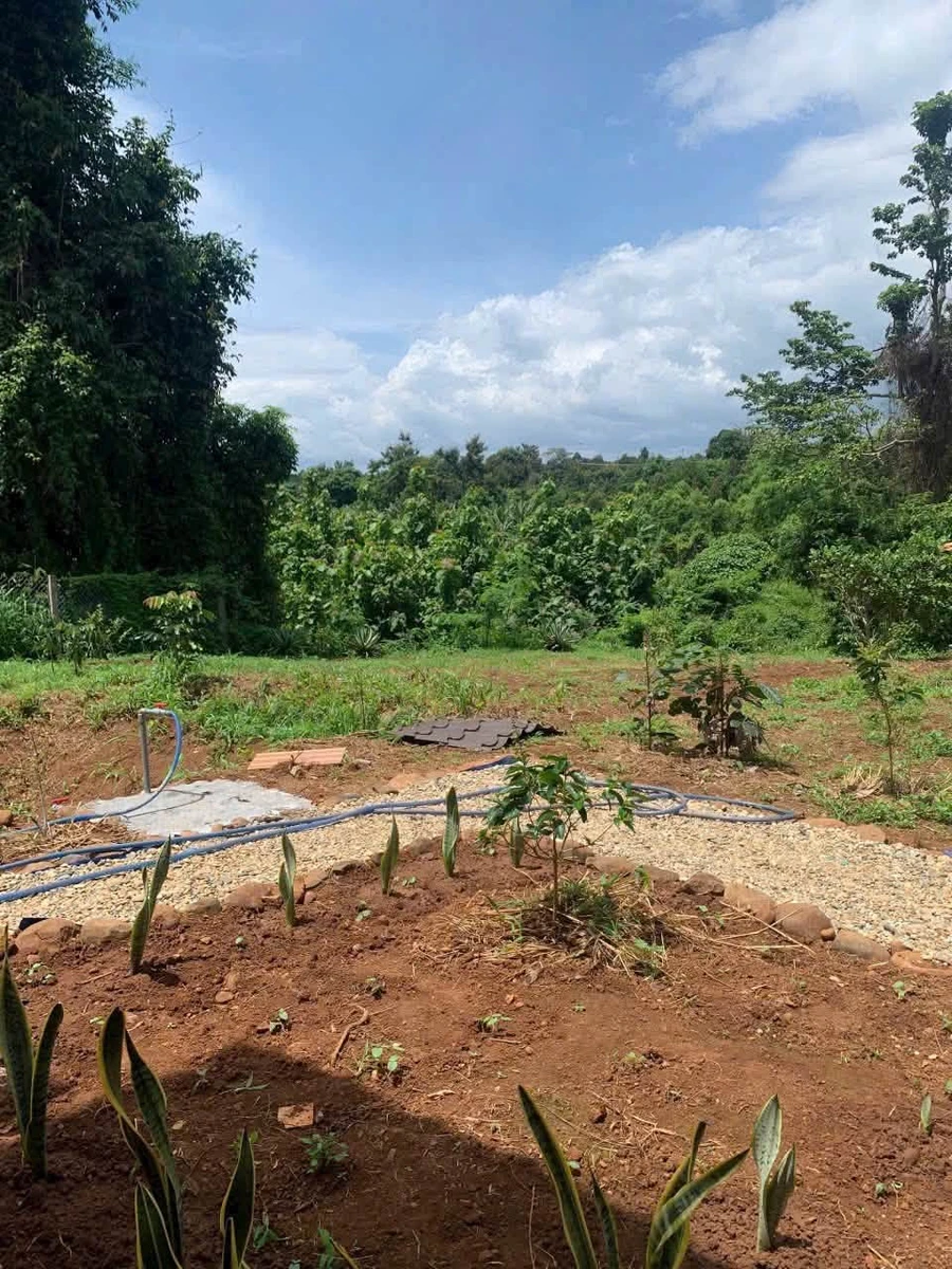 Bán nhà vườn 1609m2 Ea Nuôl Đắk Lắk - Ảnh thu nhỏ 3