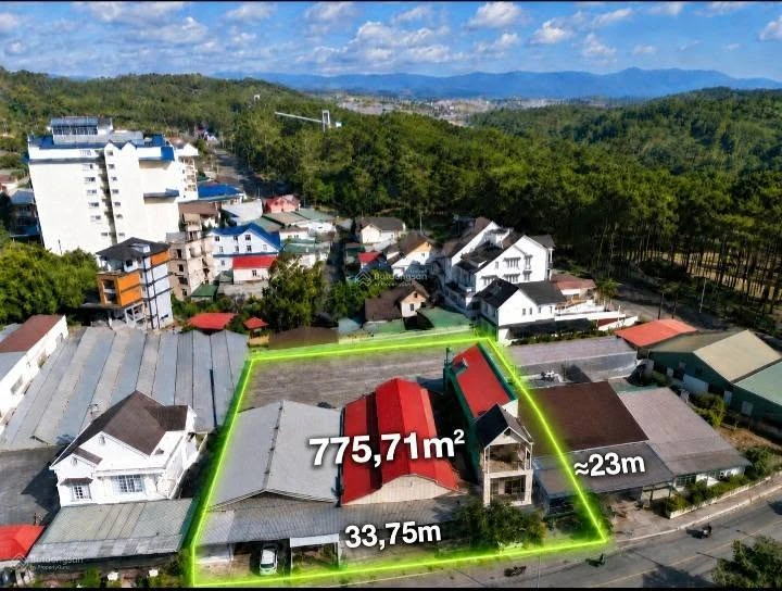 Bán 2 lô đất liền kề Nguyễn Từ Lực 775,71m² Đà Lạt 64 tỷ