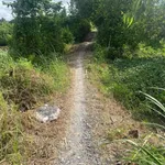 Bán 2500m² đất nông nghiệp Hòa Long Mới 480 triệu - Ảnh thu nhỏ 4