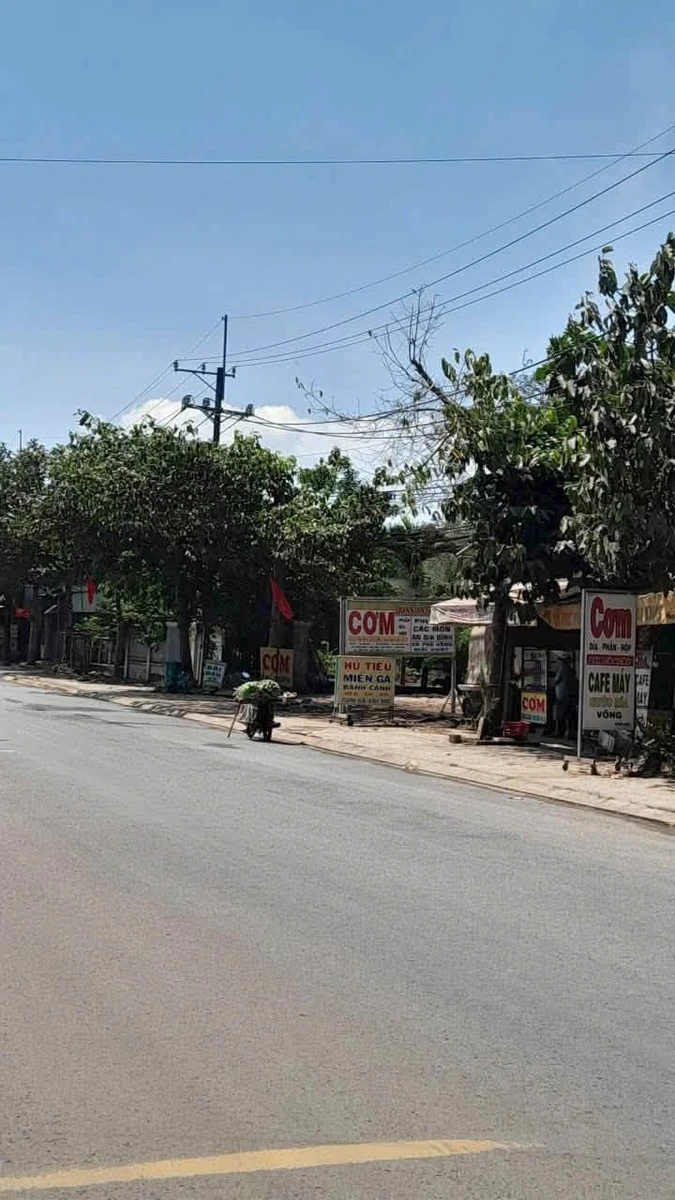 Bán lô đất 5500m2 gần Suối Cát, Xuân Lộc, Đồng Nai - 26 tỷ - Ảnh 1