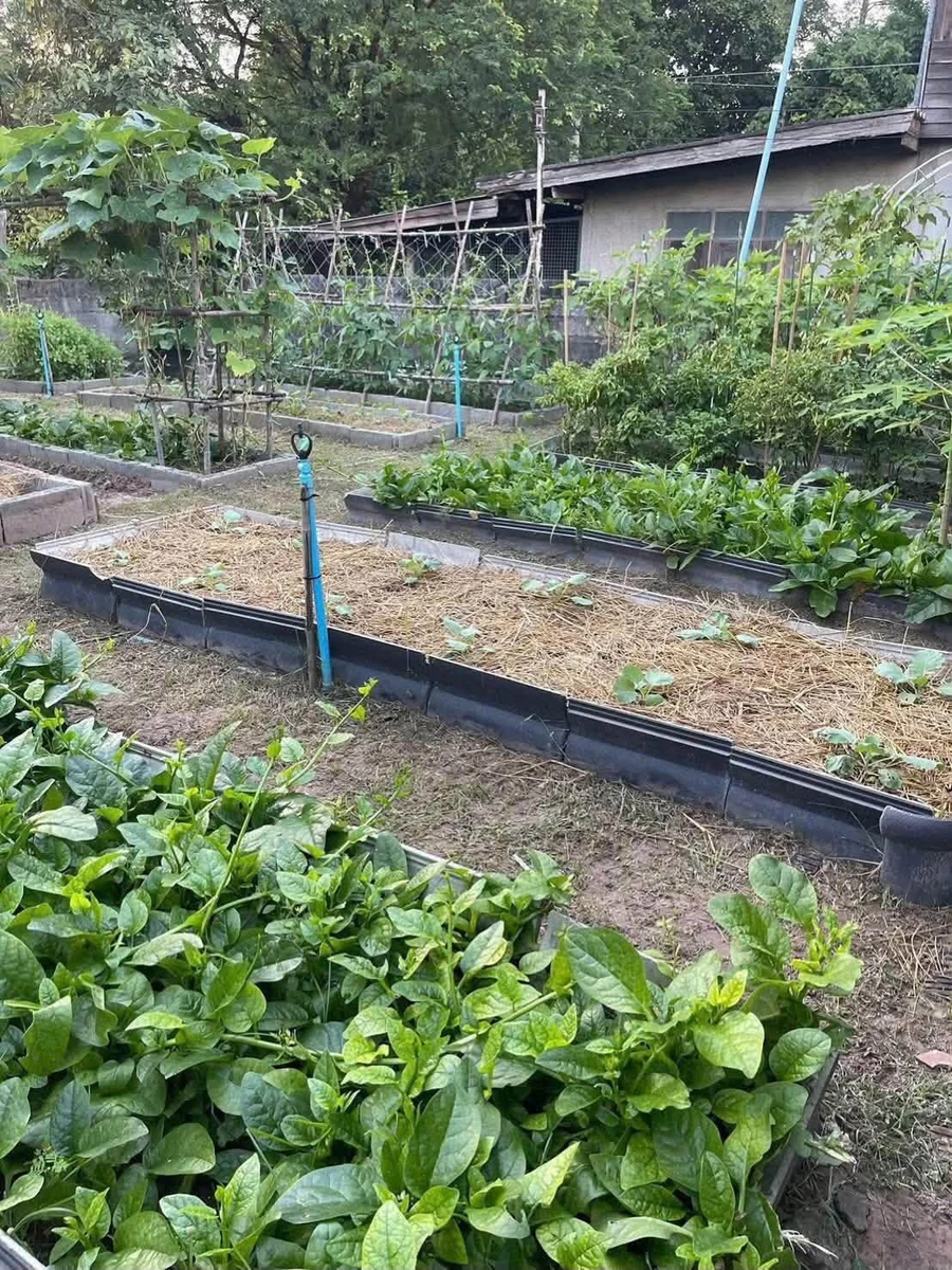 Bán lô đất 130m² tại Hàm Chính, Lâm Đồng 590 triệu - Ảnh thu nhỏ 2