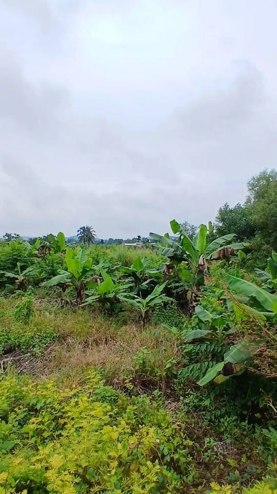 Bán đất 5700m2 Phú Vinh Mới, Đồng Nai, 2 tỷ - Ảnh thu nhỏ 2