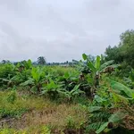 Bán đất 5700m2 Phú Vinh Mới, Đồng Nai, 2 tỷ - Ảnh thu nhỏ 2