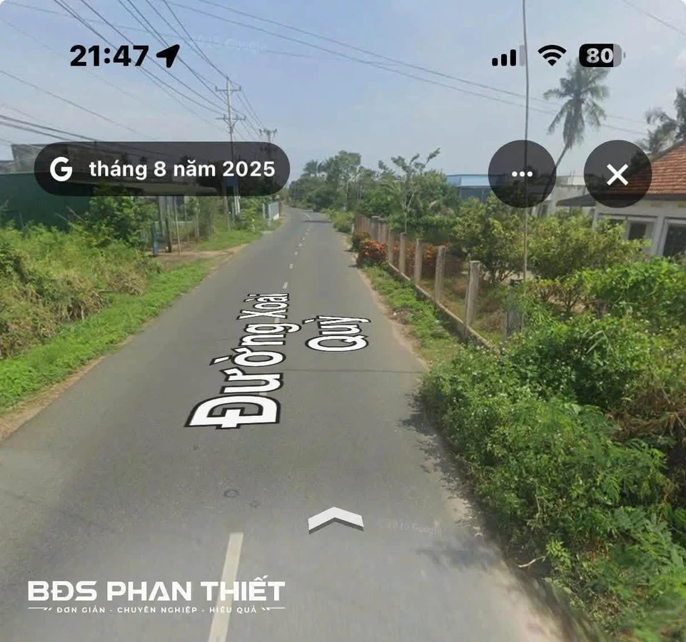 Bán đất Phan Thiết 375m² mặt tiền 14m hướng Đông - Ảnh thu nhỏ 5