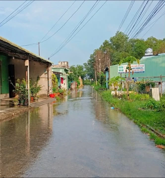 Bán đất thổ cư 330m² đầu tư Phú An Thủ Đức - Ảnh thu nhỏ 2