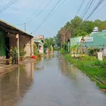 Bán đất thổ cư 330m² đầu tư Phú An Thủ Đức - Ảnh thu nhỏ 2