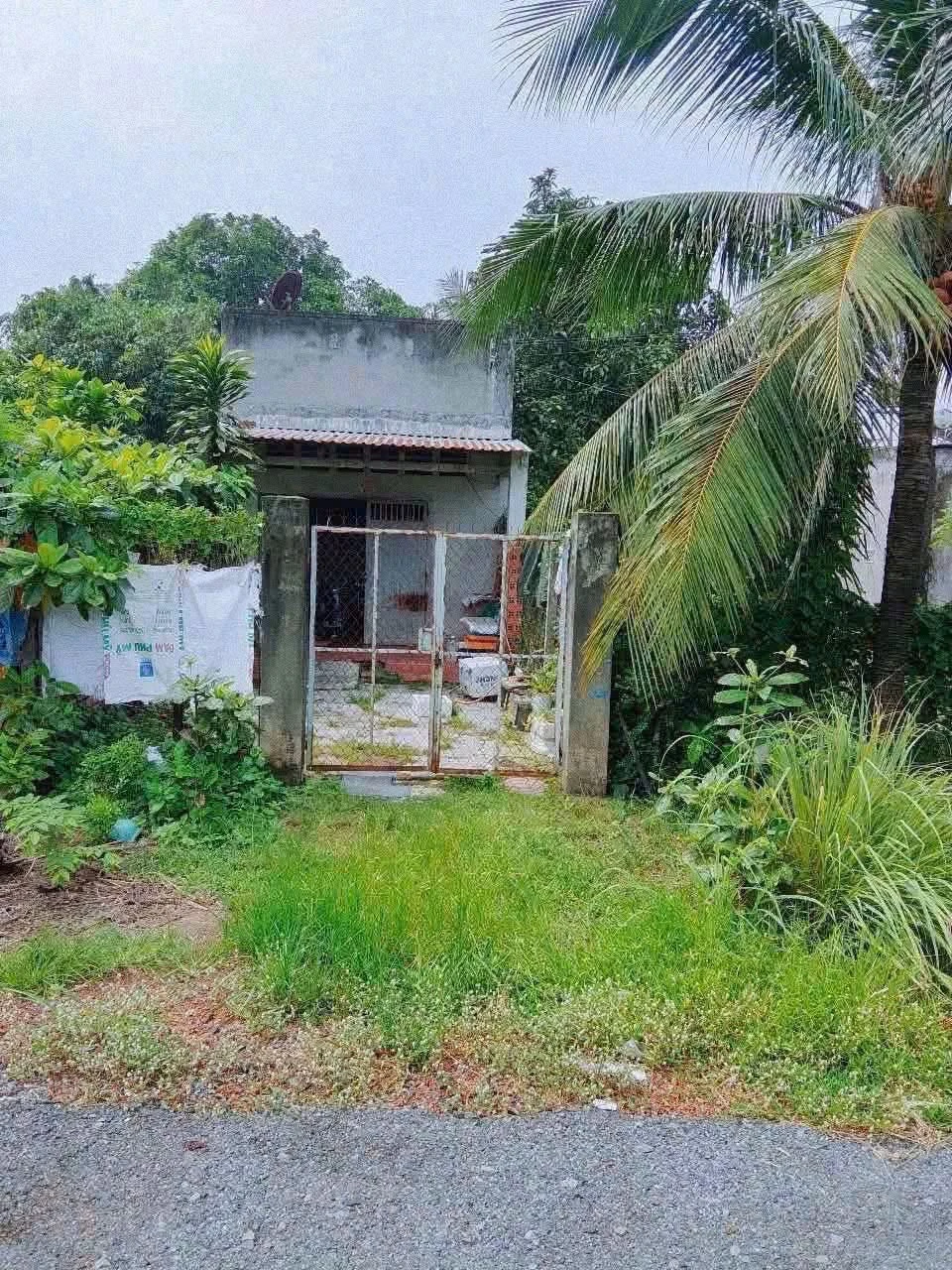 Bán đất nền Tây Ninh 116m² mặt tiền 10m - Ảnh 1