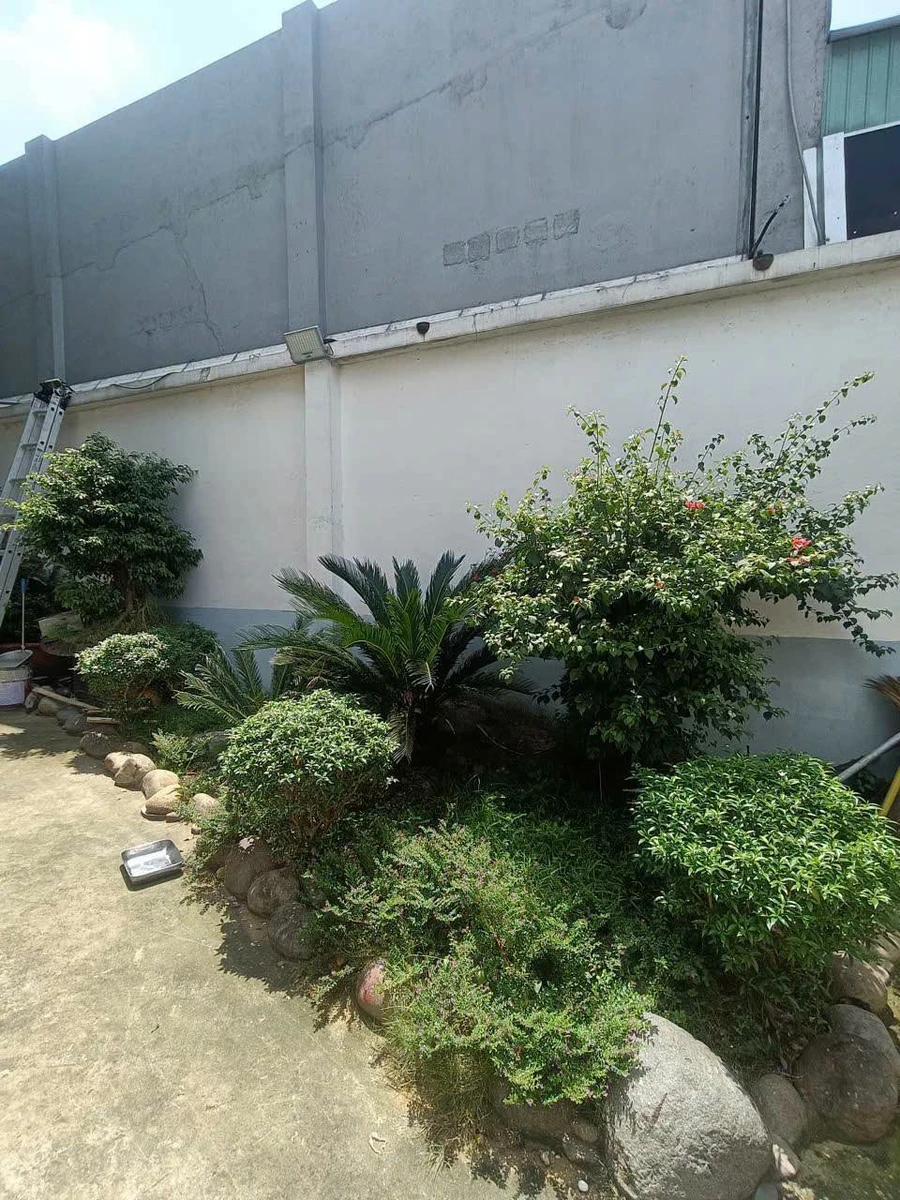 Bán nhà 2 lầu ngang 7.8m, 278m² Phú Tảo, Hóc Môn - Ảnh thu nhỏ 4