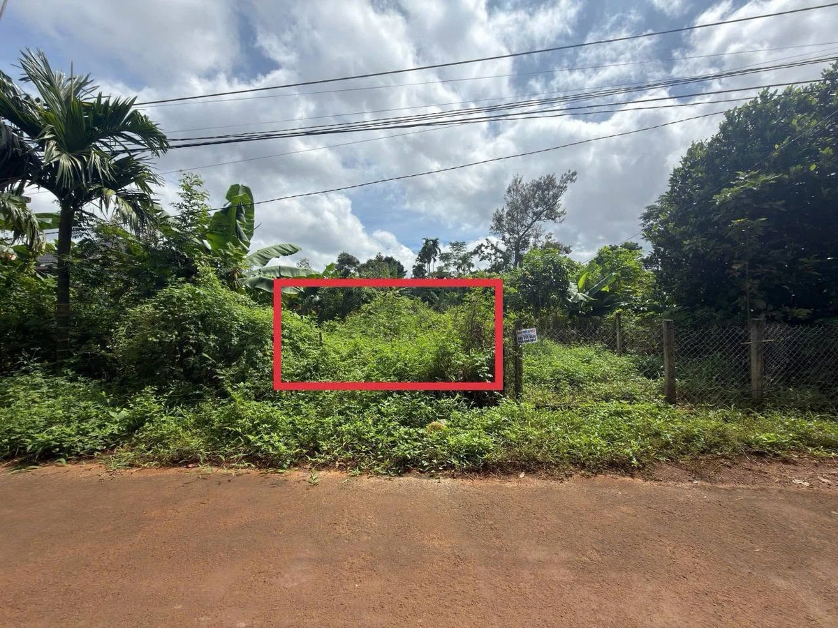 Bán đất 5x50m hẻm cấp 1 Nguyễn Xuân Nguyên, Phường Tân An, giá 1,95 tỷ - Ảnh thu nhỏ 2