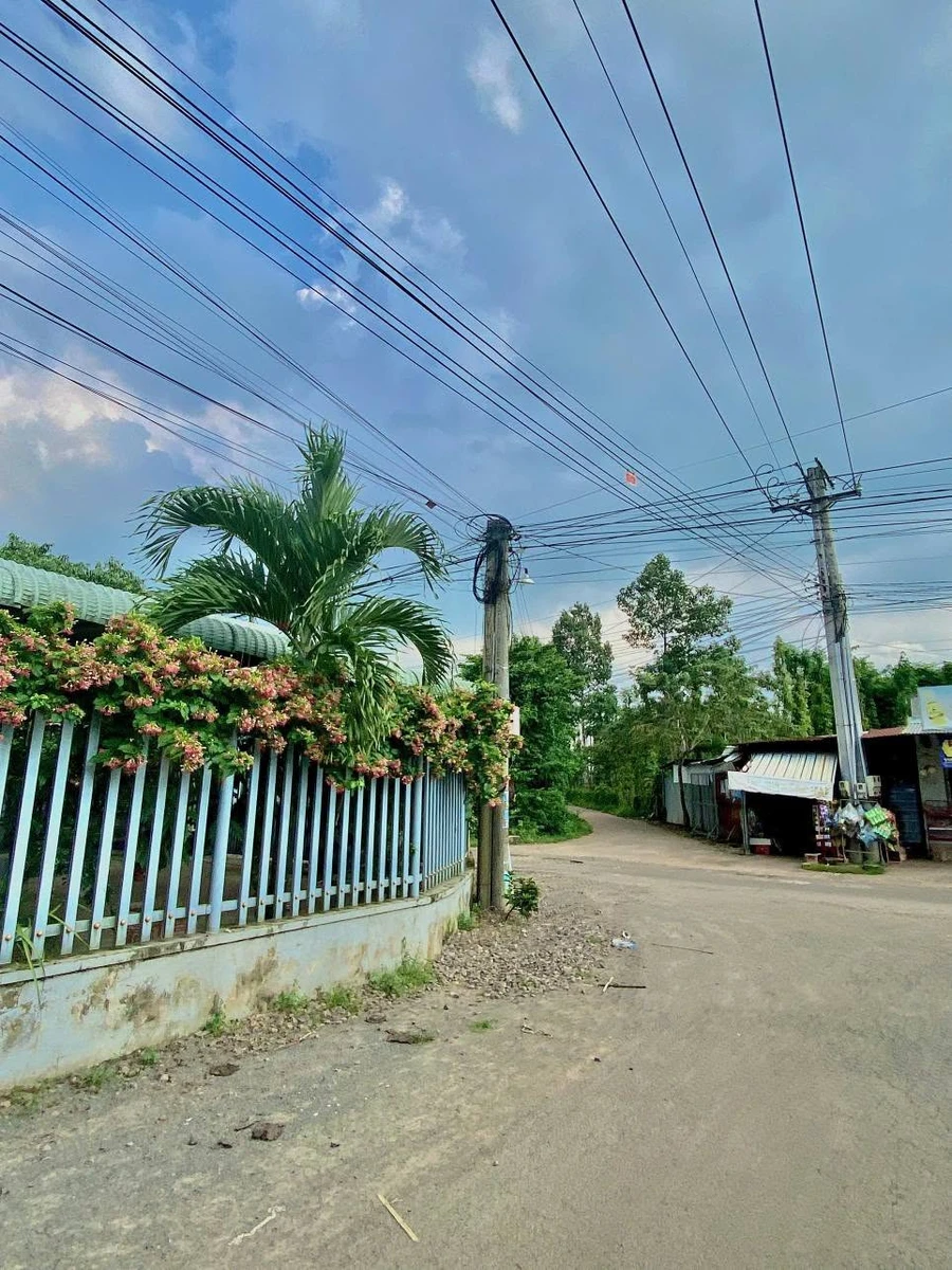 Bán đất thổ cư 5,5x24m giá 430 triệu, sổ riêng, gần ĐT763 Xuân Lộc, Đồng Nai - Ảnh thu nhỏ 5