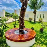 Bán nhà vườn 1.600m² Phan Thiết 1 tỷ 850 triệu - Ảnh thu nhỏ 3