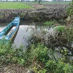 Bán đất lúa 6.176m² Hóa Long An, 140 triệu/công - Ảnh thu nhỏ 3