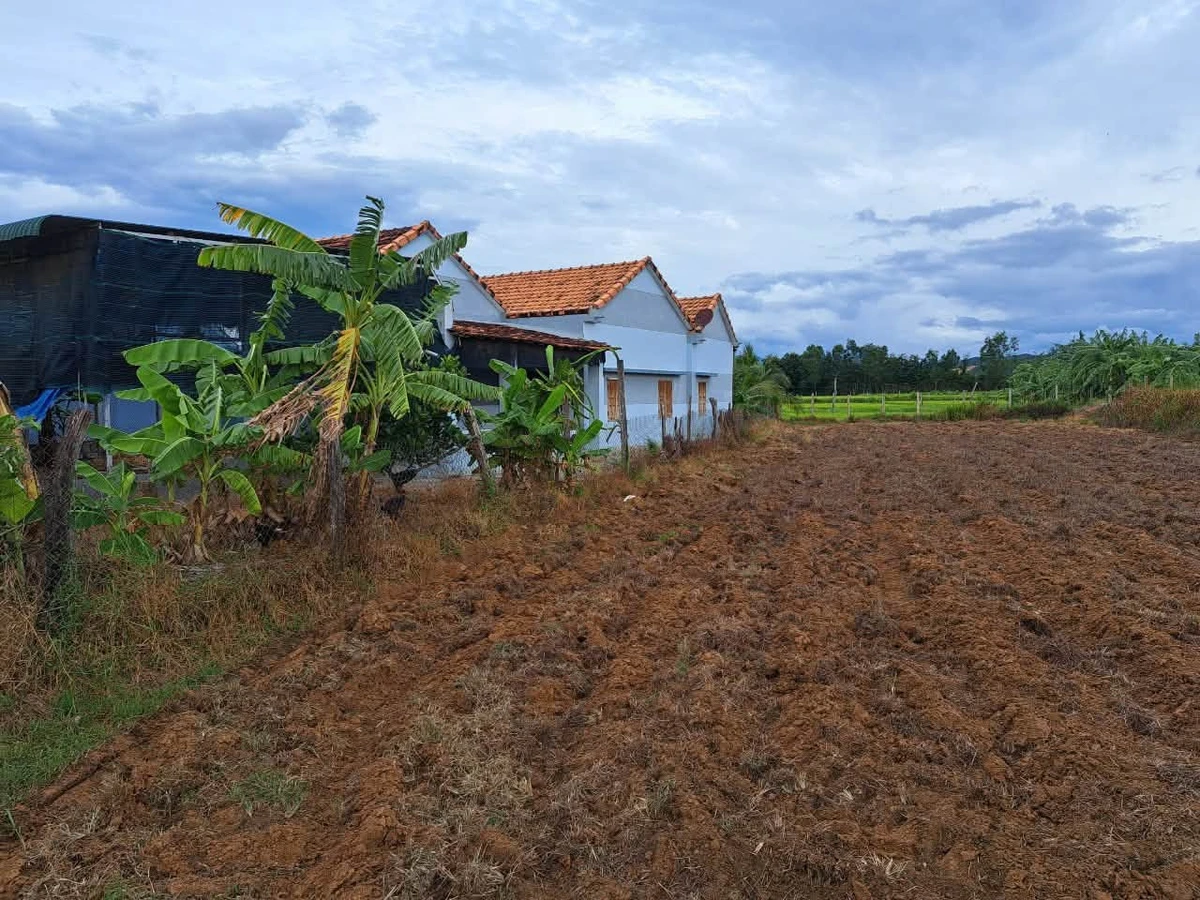 Bán đất 1800m² tặng nhà vườn 120m² 3 phòng ngủ Tân Bình - Ảnh thu nhỏ 4