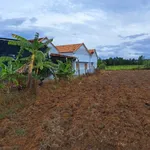 Bán đất 1800m² tặng nhà vườn 120m² 3 phòng ngủ Tân Bình - Ảnh thu nhỏ 4