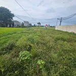 Bán đất thổ cư 100% 240m² 1 tỷ 550 Đức Hòa - Ảnh thu nhỏ 3