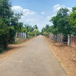 Bán đất mặt tiền 240m2 gần KCN Phú Xuân, Đắk Lắk 650 triệu - Ảnh thu nhỏ 4