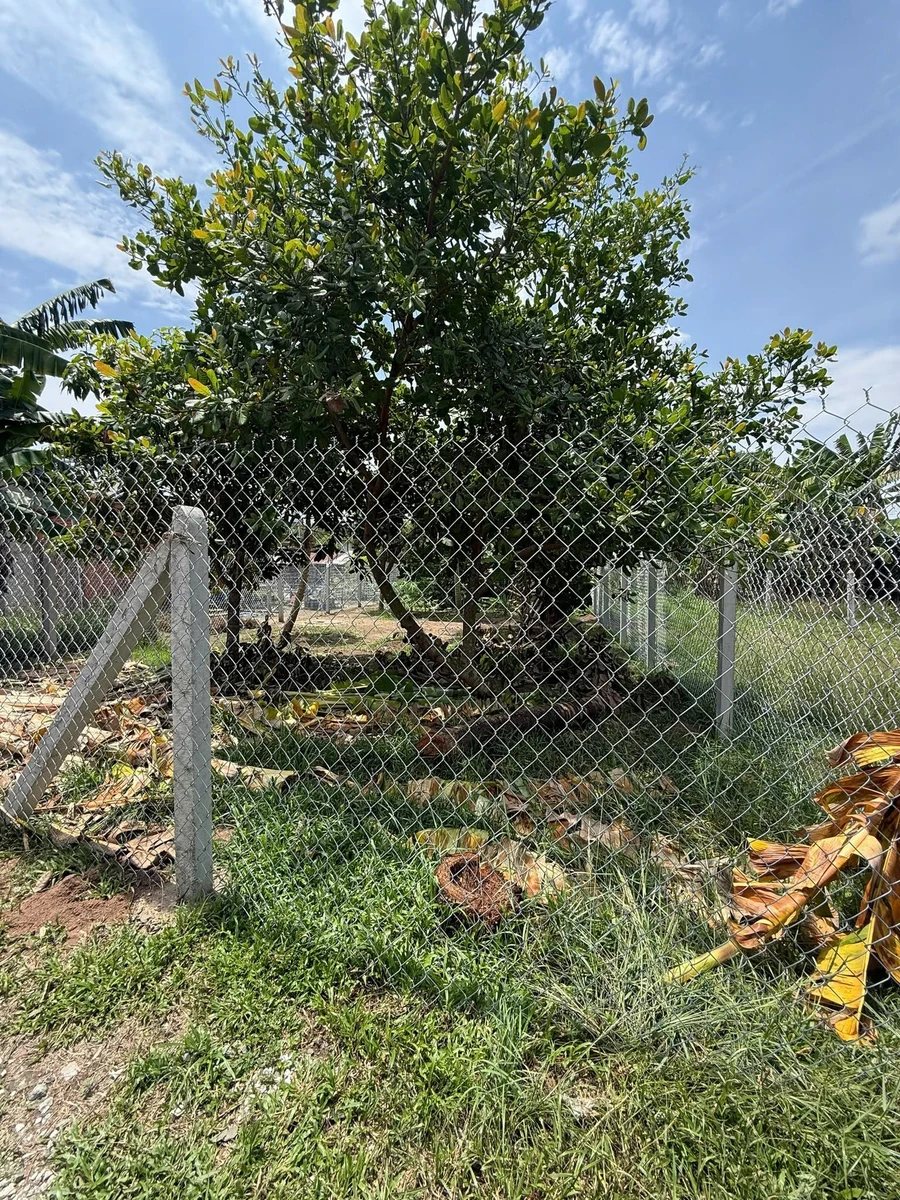 Bán đất nền Tây Ninh 8.5×33m, 280m² giá 460 triệu - Ảnh thu nhỏ 5