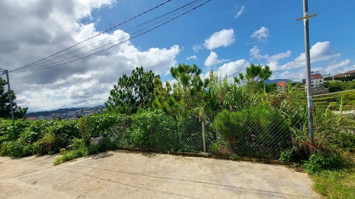 Bán villa 8PN 200m² view đẹp, Nguyễn Hữu Cảnh - Ảnh thu nhỏ 4