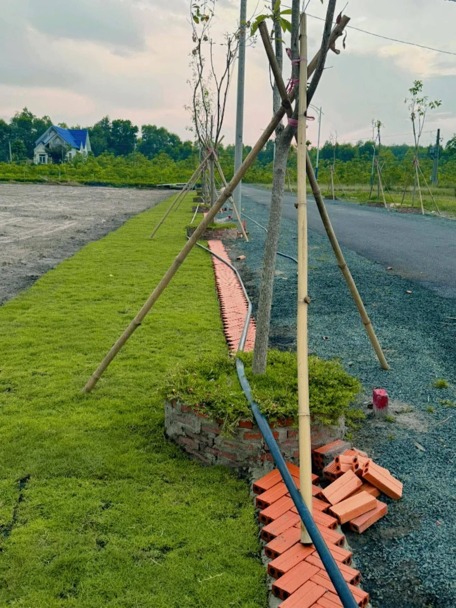 Bán nhà đất 225m² 2 phòng ngủ, Phường Minh Hưng, Đồng Nai 920 triệu - Ảnh thu nhỏ 3