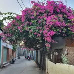 Bán nhà 130m2 thổ cư, hẻm ô tô gần biển Phước Tỉnh, Long Hải - Ảnh thu nhỏ 1