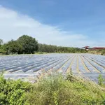 Bán đất mặt tiền Thạnh Lộc 30x136m, 4.080m², 270tr/m - Ảnh thu nhỏ 2