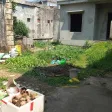 Bán đất nhà vườn không gian yên tĩnh giá siêu tốt - Ảnh thu nhỏ 8