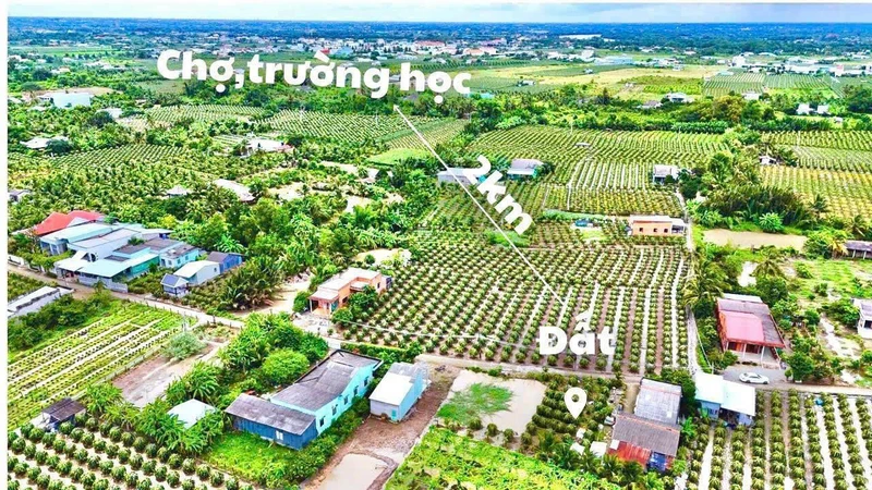 Bán đất full thổ cư Thanh Phú Long Long An 124m², 399 triệu