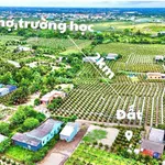 Bán đất full thổ cư Thanh Phú Long Long An 124m², 399 triệu - Ảnh thu nhỏ 1