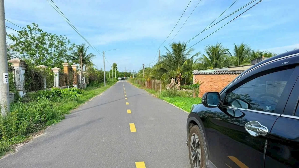 Bán đất 916m2 ngang 10m, có 84m2 thổ cư tại Xã Phước Hải, giá 3,3 tỷ - Ảnh thu nhỏ 3