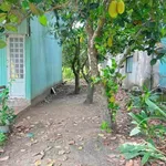 Bán lô đất thổ cư 5,5 x 38m đường nhựa gần ĐT744, Phú An, Bến Cát - Ảnh thu nhỏ 4