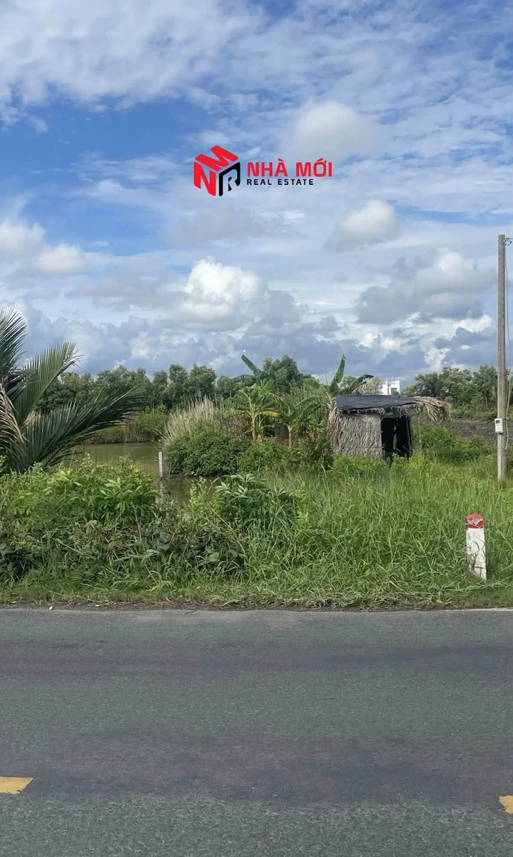 Bán nền đất Đầm Dơi 388,9m² mặt tiền 12m - Ảnh thu nhỏ 3