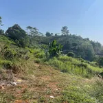 Bán đất trồng cà phê chè 6300m2, giá 1,32 tỷ - Ảnh thu nhỏ 2